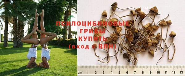 трава Горняк