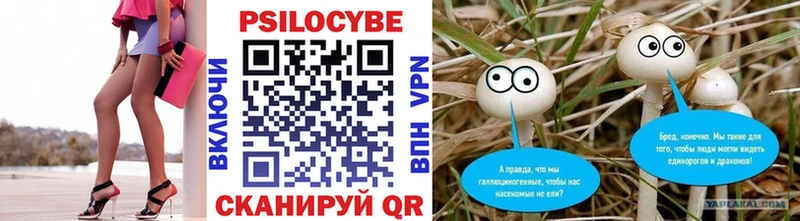 гидра зеркало  Донской  Галлюциногенные грибы MAGIC MUSHROOMS 